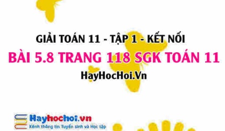 Giải bài 5.8 trang 118 Toán 11 tập 1 SGK Kết nối tri thức